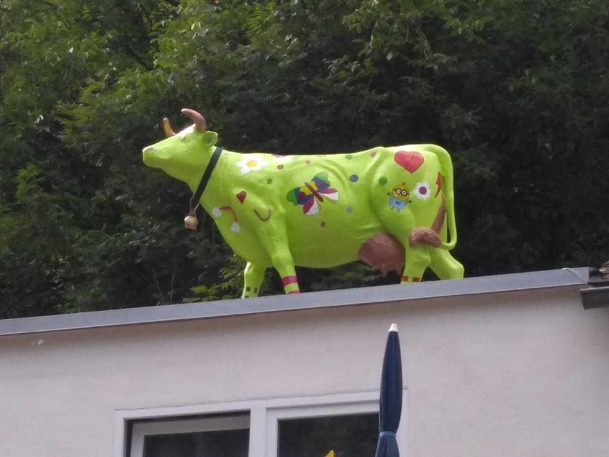 Pension Camping Schausten Cochem Kültér fotó